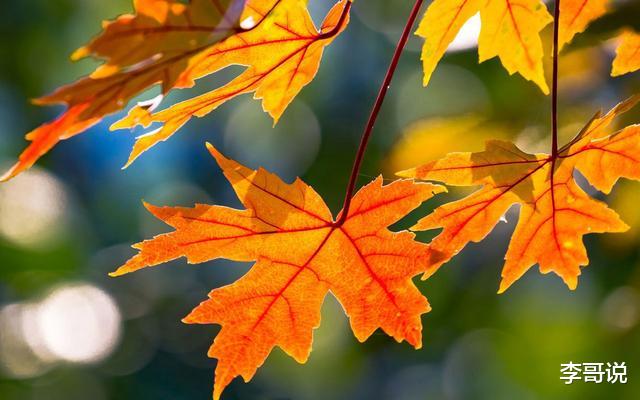 五十知天命，人生下半场的真谛就在这几句话里！