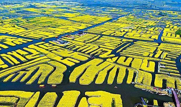 泰州 “风城”泰州一定要去的三个地方，你知道是哪三个吗？你去过哪个