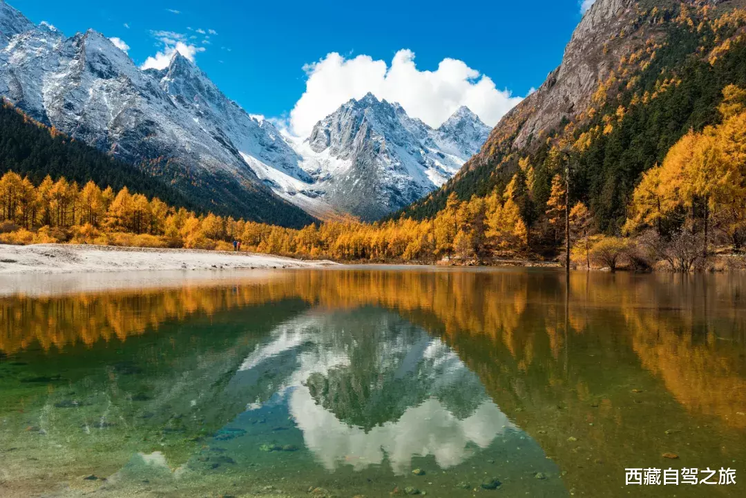 川西|深秋酝酿的五彩斑斓，全在川西晕染开了！