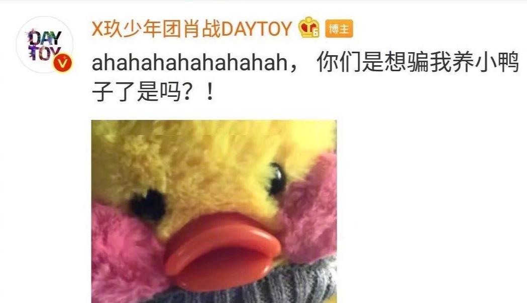 肖战|那些年，肖战的“沙雕”时刻，抢自己热评的幼稚鬼