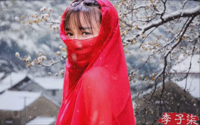 李子柒▲为什么没人能成为下一个李子柒