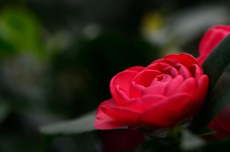 「天蝎座」6月开始运势上升，事业突飞猛进，生活越过越顺心的生肖