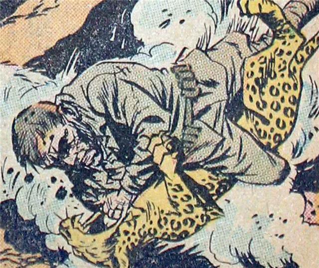 豹子▲人类能徒手打死一头豹子？这几个罕见的成功者，都有一个共同秘诀