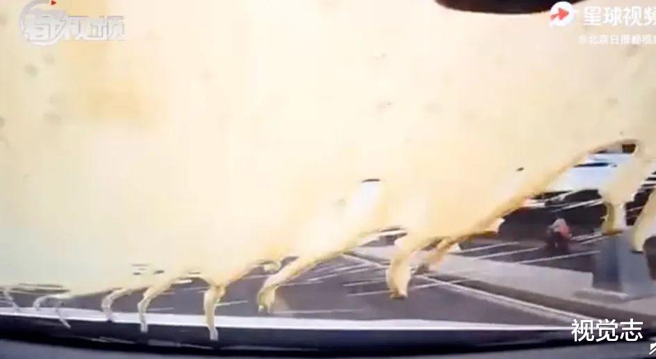 视觉志|“因为「路怒症」,我被判刑了!”