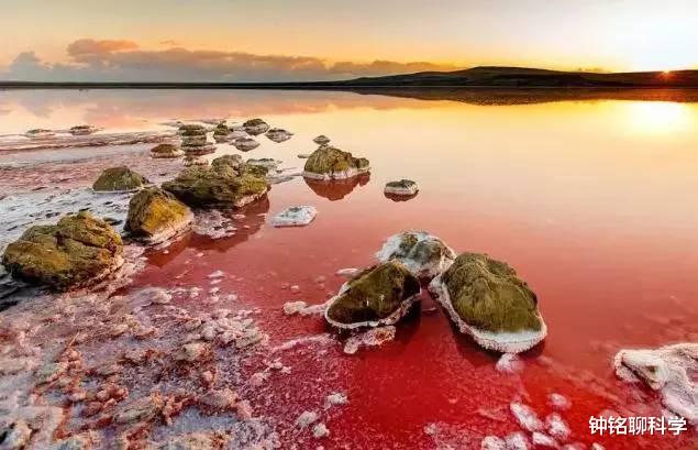 古生物学|地球一共经历过多少次文明？