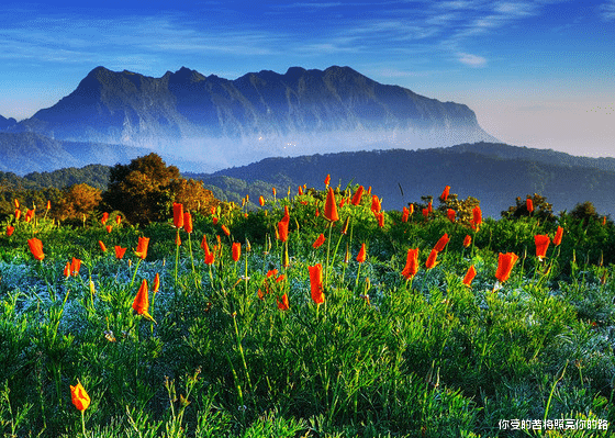 |8月20号之后,4属相遇贵人相助,顺风顺水,财运亨通,家庭幸福