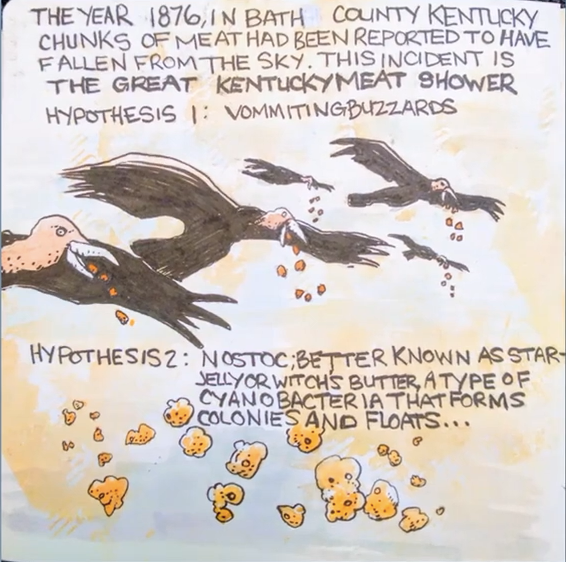 「乌贼」五个未解的神秘事物，你知道他们的由来吗？