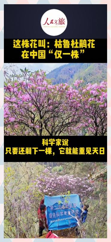 肖战@同样是备受质疑，为何华晨宇能卷土重来，肖战却频遭抵制？