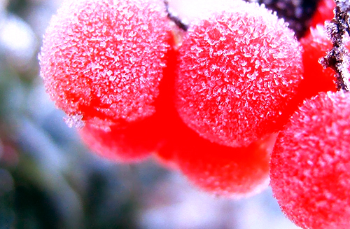 ：5月20日后，爱情甜蜜，事业飙升的三个星座