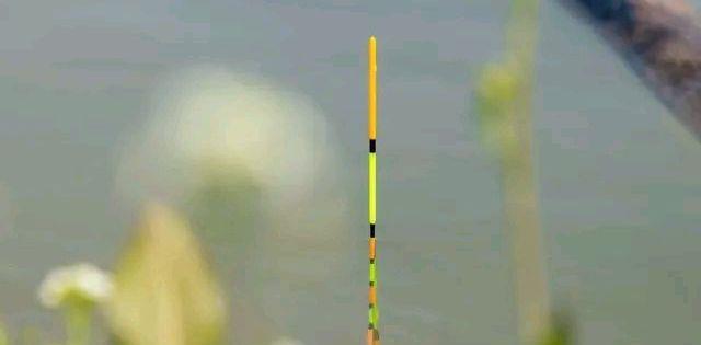 鲫鱼|鲫鱼吃饵的7种经典漂相，错过一种漂相就错过一条鱼