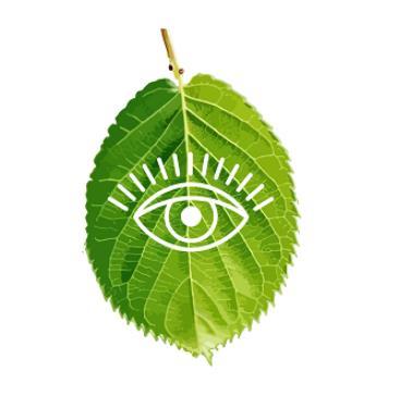 oled屏幕▲手机LCD屏幕和OLED屏幕,哪个更好?