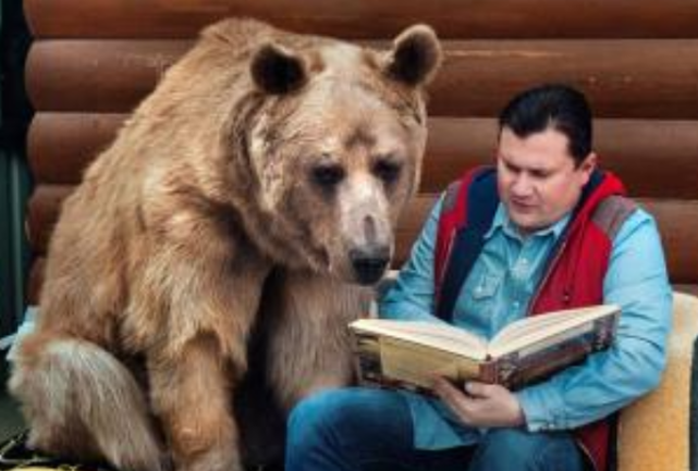 俄罗斯|俄罗斯男子在钓鱼,跑过来一头大棕熊,非常礼貌的坐在一边观看