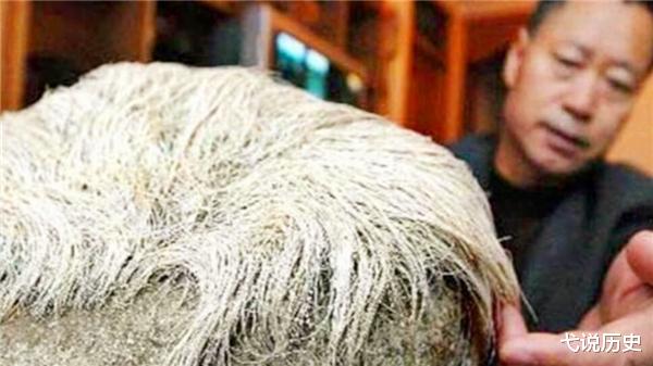 |老农捡到一块奇石，上面不停长白头发，专家赶来：快封锁这个村子