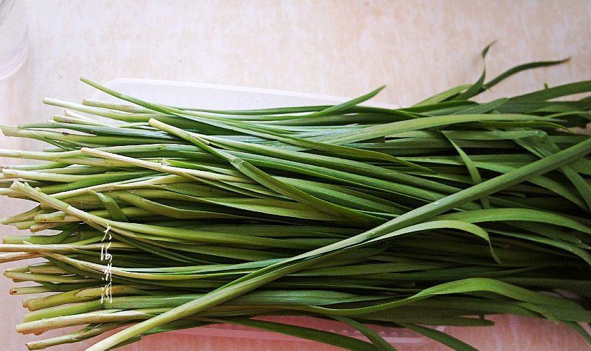 「韭菜鸡蛋」抓住春天的尾巴，早餐就吃它，清香不腻，养胃又减脂