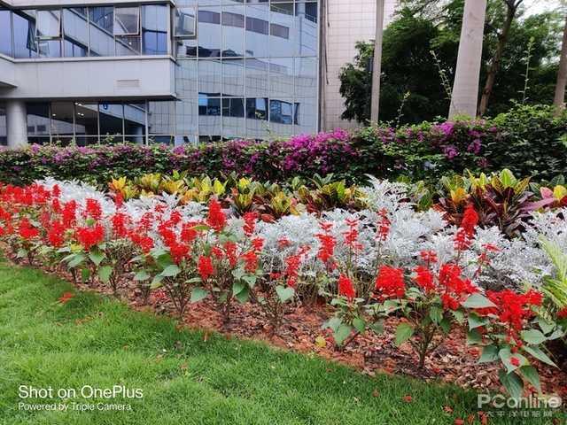 一加科技|轻旗舰就不配有春天？顶流5G口碑轻旗大混战