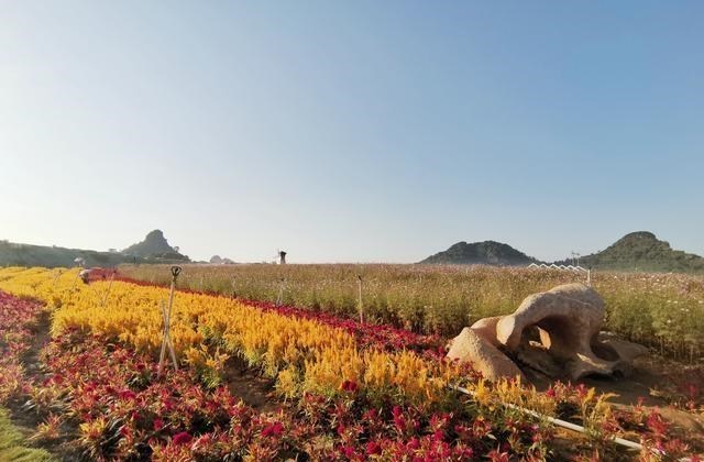 |广西人福利，我区又新增一个4A级景区，不用出国就能体验欧洲风情