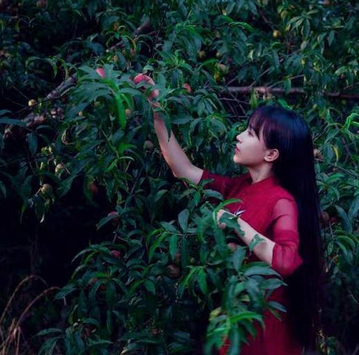 李子柒▲走进李子柒的农家小房，卧室衣架都是树枝做的，生活也太原始了