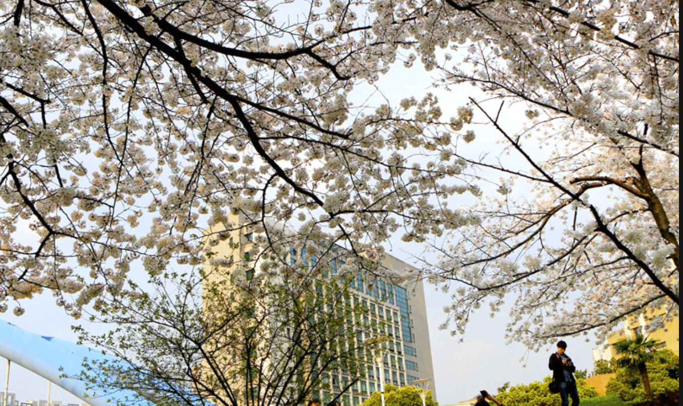 @学计算机最好的11所普通大学,不比985、211差,毕业有高薪!