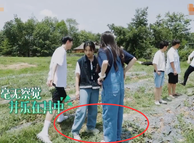 王自健|同是下地干活,看清张子枫和欧阳娜娜的裤子,“富家千金”和普通女孩的区别
