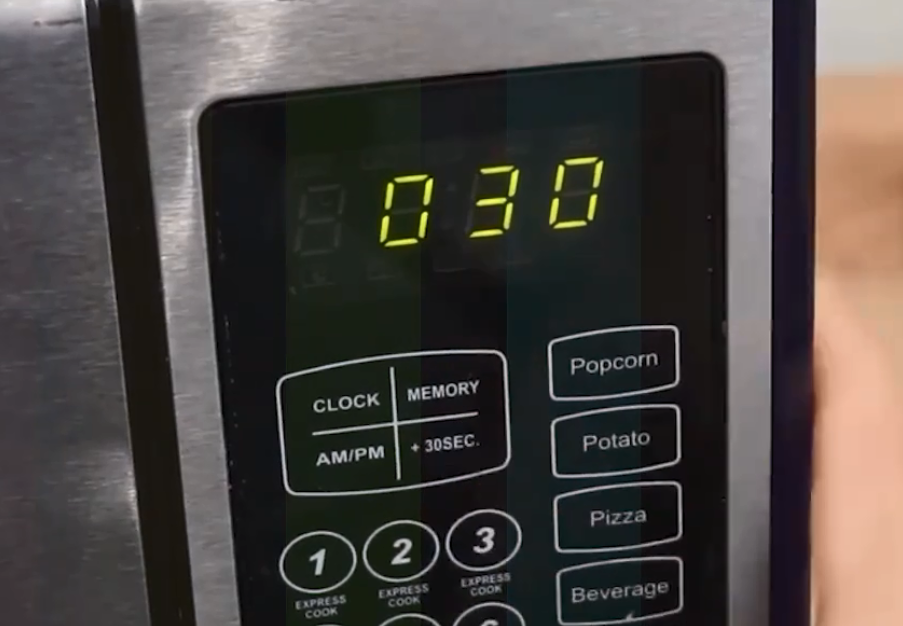 微波炉|蚂蚁被放进微波炉里加热,30秒后,不可置信的画面出现了!