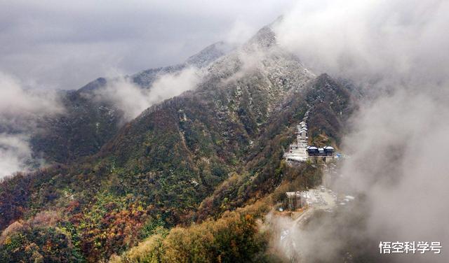 ##秦岭最大的蛇有多大？