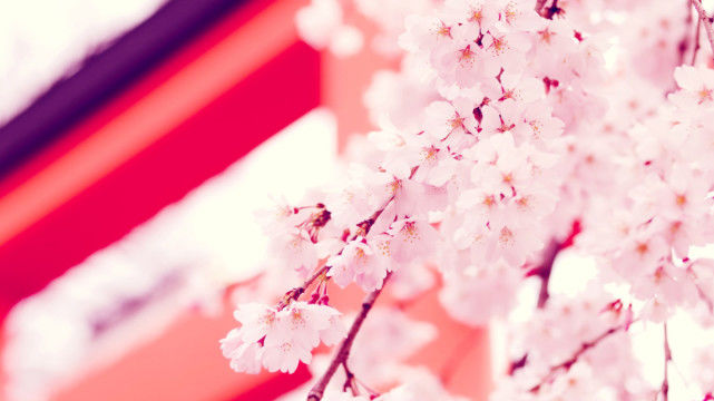 [大富大贵]财运惹不起，6月开始，3生肖贵人偏爱，存款翻番，大富大贵