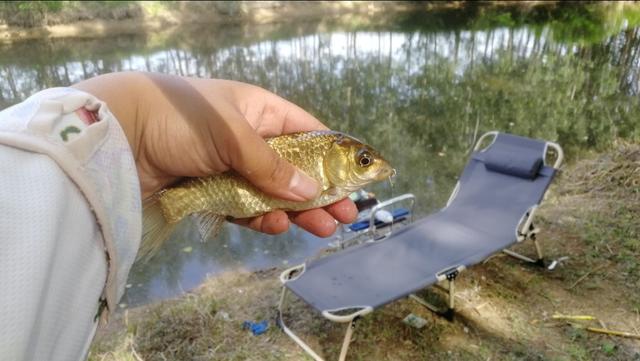 ■夏季钓鱼时，遇到这几种情况，果断采用离底钓，轻松渔获多多！