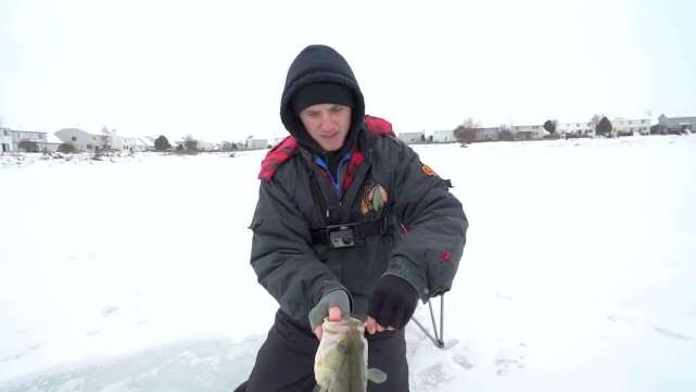 |美国农民是怎么捕鱼的？设下天罗地网，大鱼插翅难逃