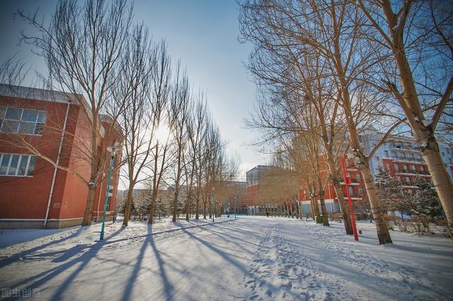 高校|高考成绩550+的考生看过来!这些院校的A+学科值得选择