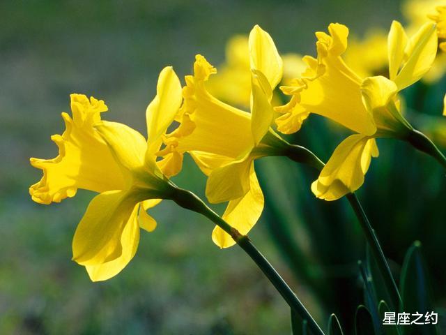 「金牛座」在6月份，满目柔情，藕断丝连，回心转意的三大星座