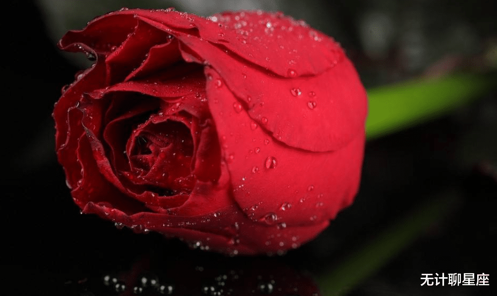 |十月份，桃花旺、情意合、爱之深的4个星座，期待的感情如期而至