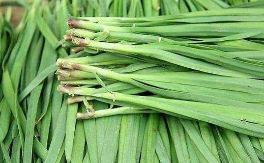 「香椿」食补不如药补！老中医：4种东西春天吃，大病小灾不来犯