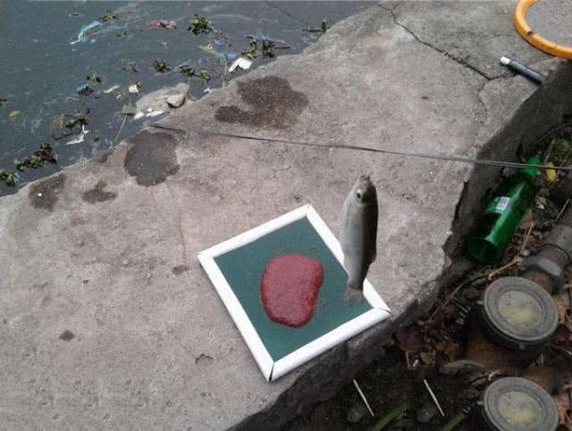 面粉■商品饵太贵,工薪阶层如何自制鱼饵?我搜集了这些方法