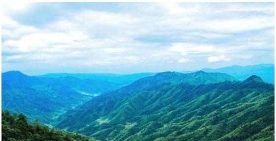 『学霸』他是北大才子黄埔学霸，24岁当军长，可惜在小县城被一地头蛇杀害