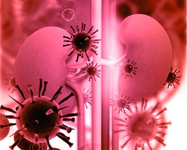 【尿毒症】忠告:肾不好,要注意这4点,别因为这四件事而得上尿毒症!