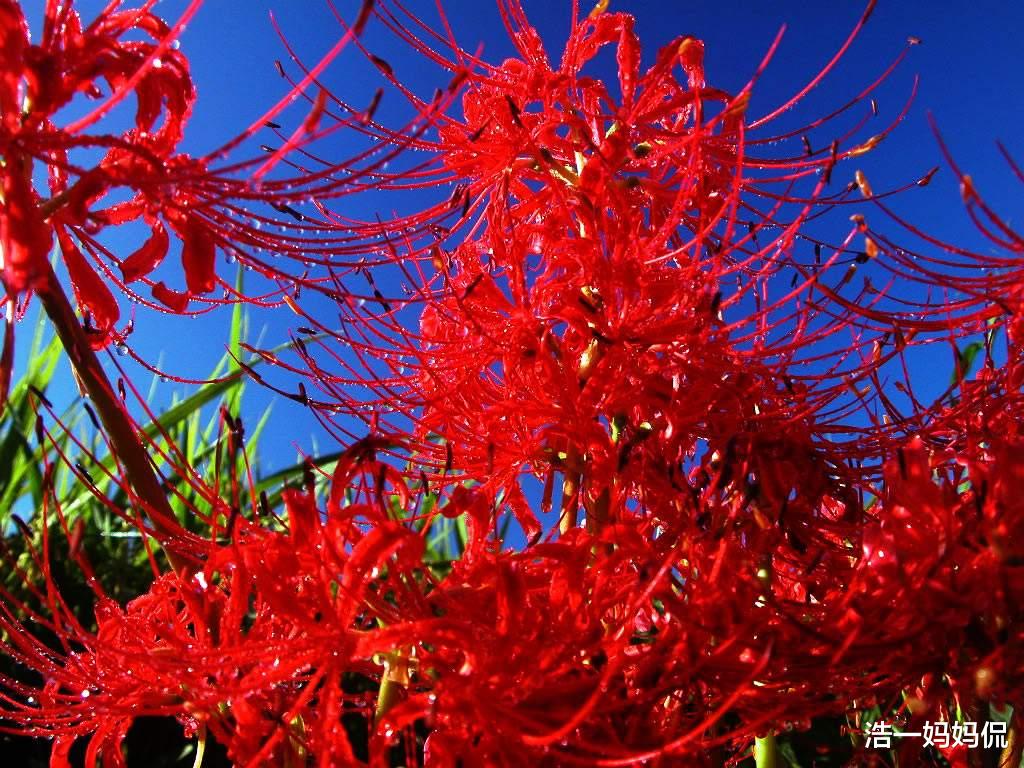 [运势]7月6号，运势上吉属相，遇贵人进财有门，财运步步高升