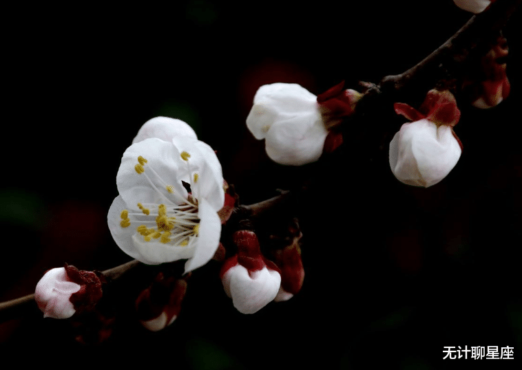 运势|九月份，桃花最难挡的4个星座，找到最适合你的真命爱人