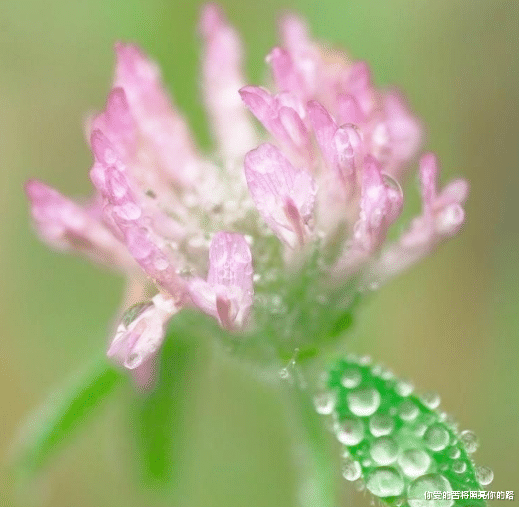 |进入8月，4属相横财入命，财富如雨，喜事连连，生活甜蜜蜜