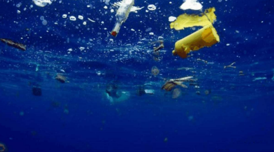 #潜龙三号#我国从3900米深海传回照片，西方国家发出警告：必须立刻停手