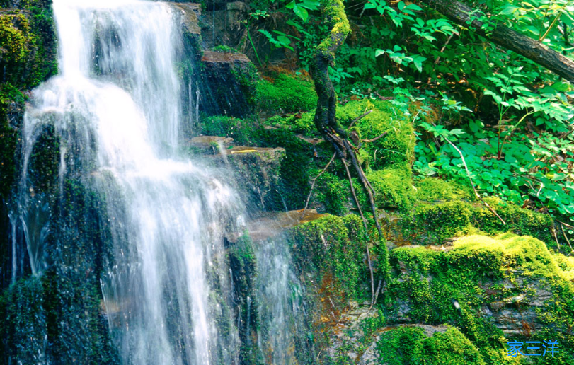 ##自律的人有多可怕