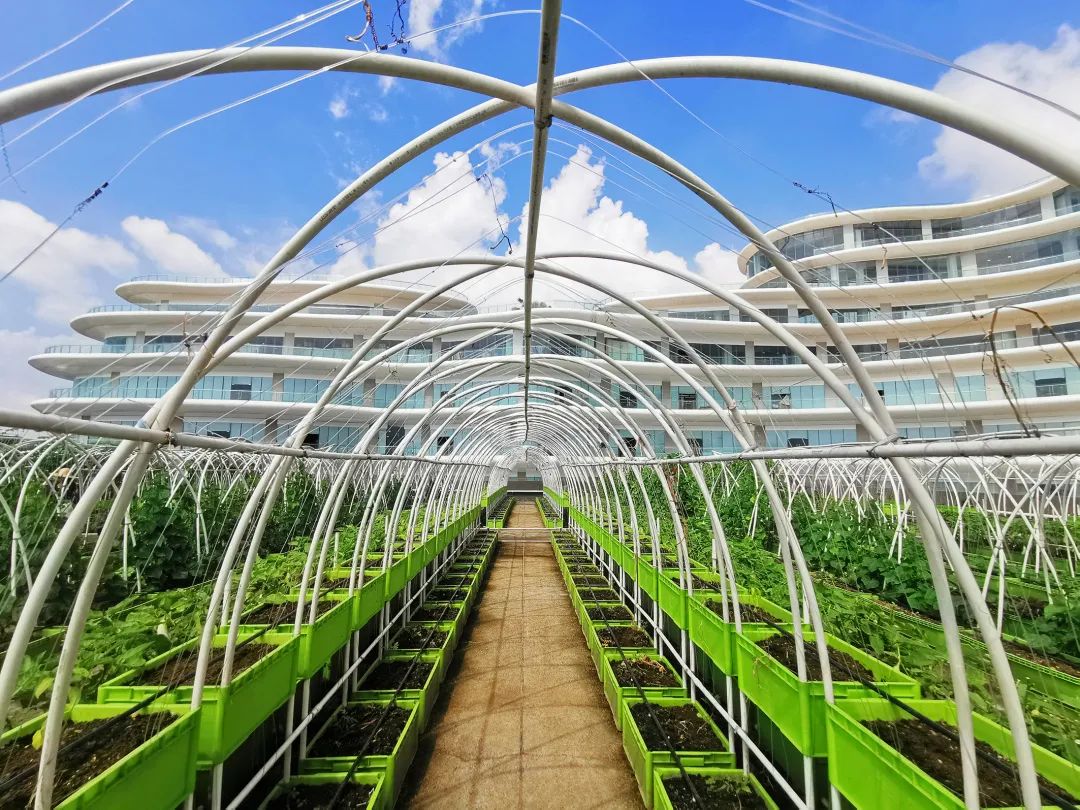 家居|5亿重金打造！厚街这座旧厂房变身“5A景区”！