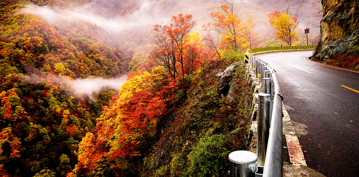 神农架|秋光乍泄 美景成诗 秋日的神农架 一定会惊艳到你