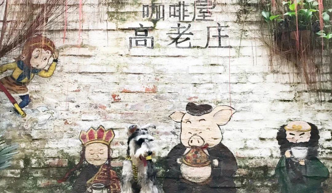 沙湾古镇|在珠三角，每个周末我都有一个理想的去处！