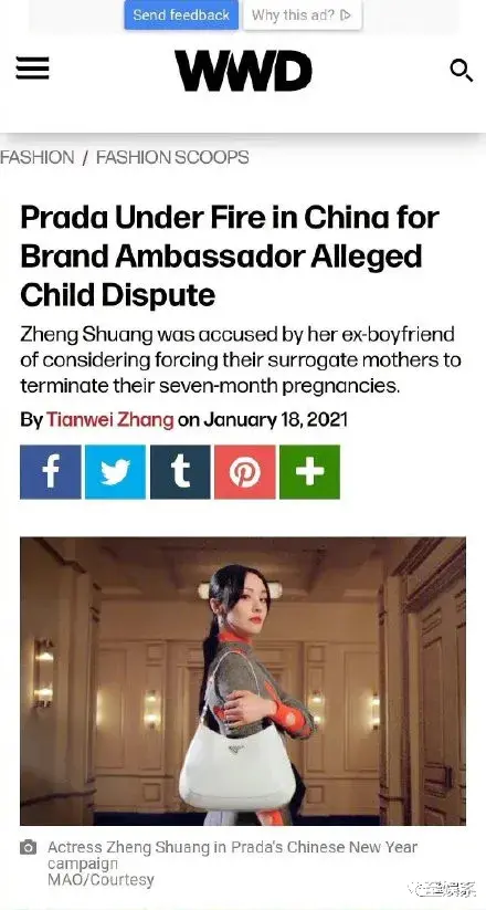 郑爽|郑爽背后的京圈大佬们