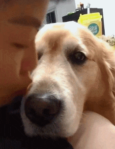 |“当亲妈看到这个电脑画面时会是，我该怎么跟她解释？”哈哈哈哈哈！