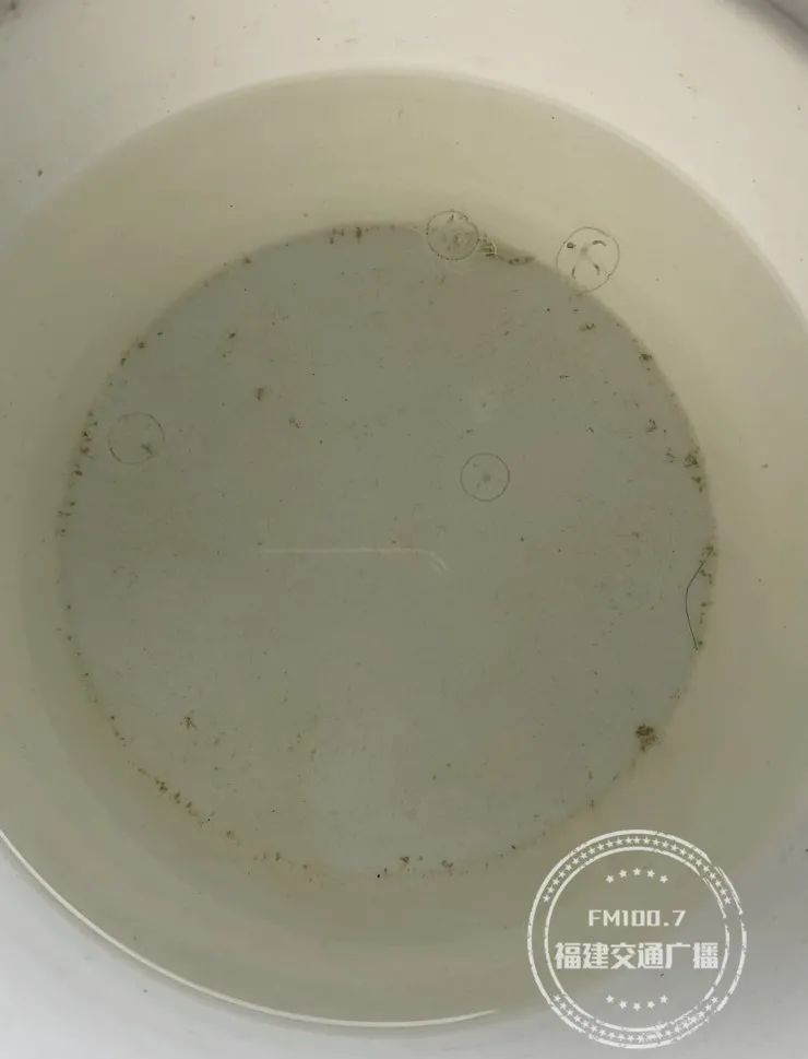 闽南网|罕见！福建一水库疑现“水中大熊猫”，有人出价10000元一只！