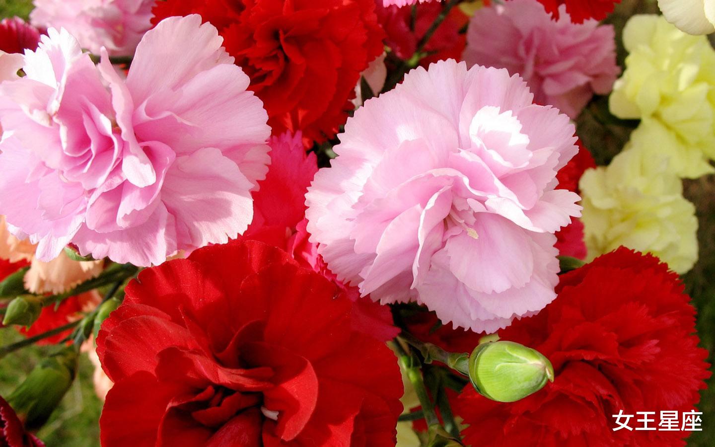 生肖|未来一月，好事缠身，上有翻身大运，下有财神进门的3个生肖