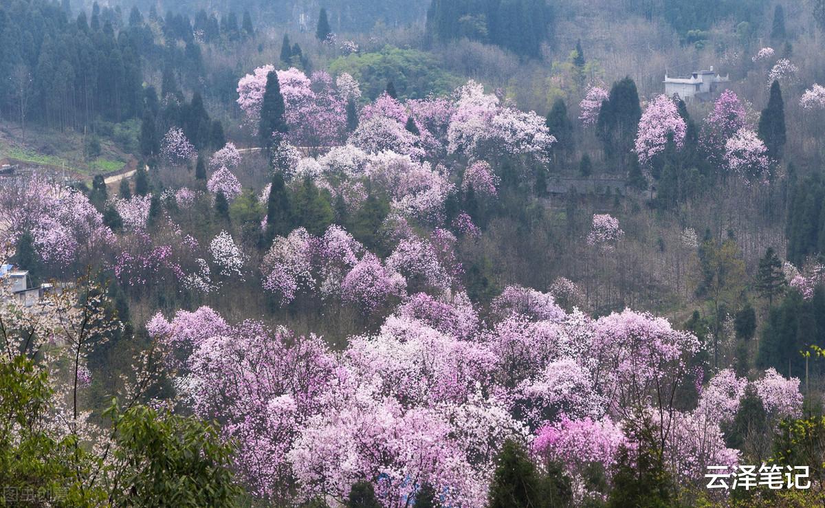 退休|距离成都170公里,21℃的山里完全感觉不到炎热,周末避暑佳地