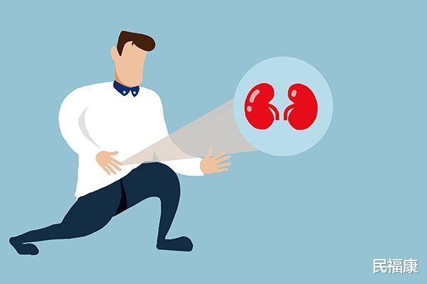 枸杞|肾“稀烂”的男性,哪些部位经常会“湿湿的”?一个不占值得高兴