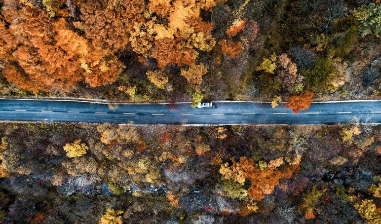黄柏塬|太白黄柏塬赏秋，摄影，一步一景，感受慢城之美